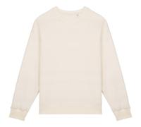 Native Spirit Unisex Adult Oversized Sweatshirt PC7822