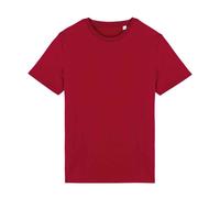 Native Spirit Unisex Adult T-Shirt PC5179