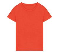 Native Spirit Womens/Ladies Faded Washed T-Shirt PC5112
