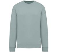 Native Spirit Womens/Ladies Oversized Sweatshirt PC5152