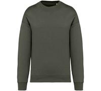 Native Spirit Women's Oversized Sweatshirt in Khaki | Size: XS Native Spirit Khaki XS