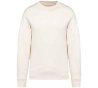 Native Spirit Womens/Ladies Oversized Sweatshirt PC5152