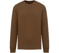 Native Spirit Womens/Ladies Oversized Sweatshirt PC5152