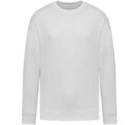 Native Spirit Womens/Ladies Oversized Sweatshirt PC5152
