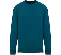 Native Spirit Womens/Ladies Oversized Sweatshirt PC5152