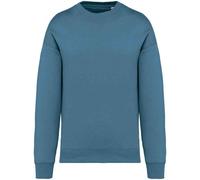 Native Spirit Womens/Ladies Oversized Sweatshirt PC5152