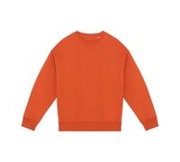 Native Spirit Womens/Ladies Oversized Sweatshirt / XXL Burnt Brick PC5197