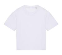 Native Spirit Womens/Ladies Oversized T-Shirt PC7820
