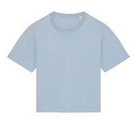 Native Spirit Womens/Ladies Oversized T-Shirt PC7820
