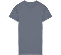 Native Spirit Womens/Ladies T-Shirt DressXL Mineral Grey PC5177