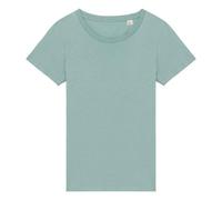 Native Spirit Womens/Ladies T-Shirt PC5115
