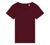 Native Spirit Womens/Ladies T-Shirt PC5115