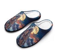 Native U.S. Chief Moon Cotton Slipper Anti-Skid Comfortable Cozy Plush Slippers Indoor House Closed Toe Shoes 7-8（39-40