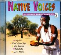 Native Voices Ambient Dance Hi