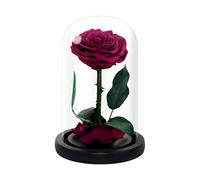 NATROSES Handmade Preserved Roses in Glass Dome, Long Lasting Pink Roses Real, Flowers for Women