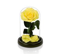 NATROSES Handmade Preserved Roses in Glass Dome, Yellow Roses, Preserved Flowers Gifts for Women, Mothers Day Flowers