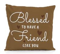 NATSUNO My Friend Pillow Case,Friends Throw Pillow Covers 18X18,Friendship Gifts for Woman,Thank You Gifts for Friends,Birthday Gifts for Friends,Blessed to Have A Friend Like You Pillow Cover(Brown)