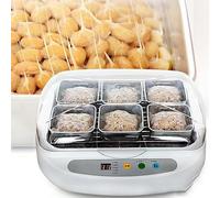 CHIPEL Natto Fermentation Machine Home and Commercial Automatic Electric Constant Temperature Machine 3.5L Stainless Steel Cup Multi-purpose Natto Rice, Yogurt, Wine Fermentation