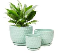 Nattol Ceramic Flower Pots with Drainage Hole and Saucer, Modern Round Succulent Planters with Honeycomb Inspired Texture Design, Small to Medium Sized, Set of 3, Green