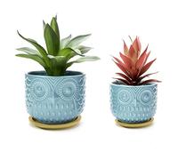 Nattol Owl Succulent Planter, Turquoise Animal Planter Pots with Drainage Hole and Bamboo Saucer, Set of 2