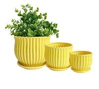 Nattol Yellow Ceramic Flower Pots with Saucers, Modern Round Ceramic Succulent Plant Pots with Stripe Texture, Small to Medium Sized, Set of 3