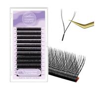 Natuhana YY Lash Extensions 0.07mm C Curl Mix Tray 8-14mm Premade 4D Fan Russian Volume Individual Y Shaped Eyelash Extensions (Black,0.07 C, 8-14 Mix)