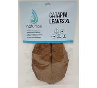 Natunae - Catappa leaves, Indian almond XL for aquarium pack of 10