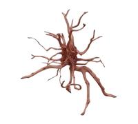 Natunae - Red Spider King Wood Decorative Root for Aquarium, Terrarium, Paludarium M 30-40 cm