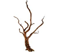 Natunae - Red Spider King Wood Wood Decorative Root for Aquarium, Terrarium, Paludarium S 20-30 cm