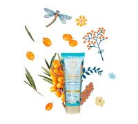 Natura Siberica - Oblepikha Hand Cream 75 ml - Deep Nourishment And Hydration Without Greasy Feel - With Altai Oblepikha, Silky Hands