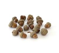 Natural Acorns, Wreath Decoration, Approx 50pcs, Christmas Decorations, Ideal for Arts and Crafts, Sensory Toys for Kids, Hand Made Gifts, Christmas Decorations, Indoor and Outdoor Crafting - 200g