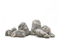 Natural Aquarium Rocks Silver Seiryu Rock Mountain Stone 2-10inch Decor Rocks for Aquariums and Terrariums Animal feeding box, micro landscape, stone landscape and bonsai.(40lb 2-10inch 12-14Pcs)