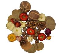 Natural Autumn Dried Decoration Set - Eco-Friendly Seasonal Decor Kit with Pine Cones, Mini & Bellini Pumpkins, Apple Slices, Helichrysum, Fohla Leaves & Acorns - Rustic Table & Craft Supplies
