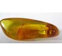 Natural Baltic Amber TUMBLESTONE - 3.4 x 1.3 x 0.7 cms 2.17 GMS #2