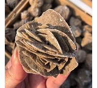 Natural Beautiful Quartz Desert Rose Crystal Mineral Selenite Raw Stones Specimens Rough Gem for Reiki Healing,3-5cm (1.2-2 Inch)