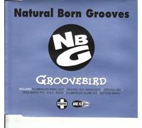 NATURAL BORN GROOVES - Groove Bird