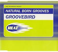 Natural Born Grooves - Groovebird