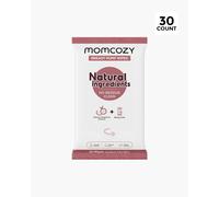 Natural Breast Pump Wipes - Safe & Convenient | Style: 30 Count (Pack of 1)