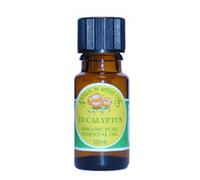 Natural By Nature Oils Eucalyptus Essential Oil Organic 10ml