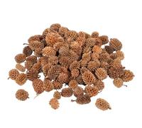 Natural Casuarina Cones, approx 130pcs, Christmas Decor - 100g | Christmas Decorations, Wreath, Crafts, Bowl Fillers, Home Décor