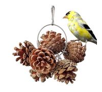 Natural Chew Toy - Wood 10cm 50g | Bird Cage Accessory with Pine Cone, Boredom for Macaw and Medium Cockatoo Parakeets | Beak Trimming