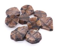 Natural Chiastolite Tumbled Stones - Cross-Pattern Quartz Mineral Specimens | Bulk Aquarium Gravel, Home & Garden Decor 2pc