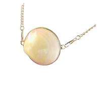 Natural Clamshell Purse With Chain Ladies Crossbody Handbag Clamshell Shoulder Purse Small Shoulder Bag For Women Girl Stylish Nature Inspired Handbag