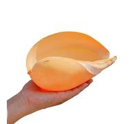 Natural Conch Replacement Shells, Conch Shells For Fish Tank Wedding Beach Party Home Decor Crafts Air Plants Multiple Sizes(D)