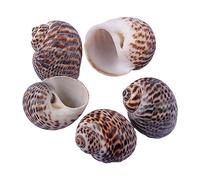 Natural Conch Replacement Shells, Hermit Crab Shells Natural Growth Multicolor 1.5-3cm for Hermit Crab Habitat and Fish Tank Decor(A)