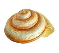 Natural Conch Replacement Shells, Simulated Conch Seashell Ornament Multiple Sizes For Home And Aquarium Decor(M)