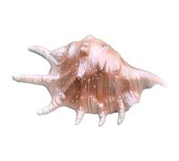 Natural Conch Replacement Shells, Simulated Seashell Ornament 28x8x9cm For Home Aquarium Wedding Beach Decor DIY Crafts(B)