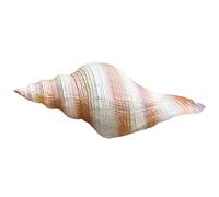 Natural Conch Replacement Shells, Simulated Seashell Ornament 28x8x9cm For Home Aquarium Wedding Beach Decor DIY Crafts(D)