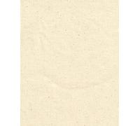 Natural Cotton Canvas fabric Cream Medium Weight Extra Wide - New off the roll - per metre