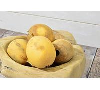 Natural Crafts Dried Whole Passion Fruit - dried fruit - wreath making - pot pourri - pack of 6 (Yellow)